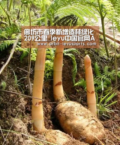 廊坊市春季新增造林绿化209公里_leyu中国官网APP(图2) leyu中国官网APP