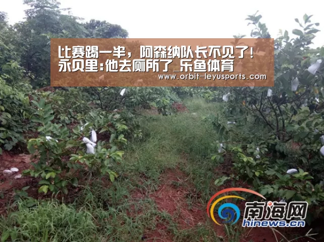 比赛踢一半,阿森纳队长不见了!永贝里:他去厕所了_乐鱼体育(图3) leyu中国官网APP