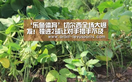‘乐鱼体育’切尔西全场大爆发!独进2球让对手措手不及(图1) leyu中国官网APP
